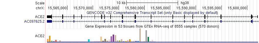 BarChart example in full mode